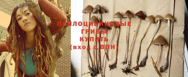 эйфоретик Богородицк