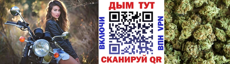 Канабис VHQ  Ильский 
